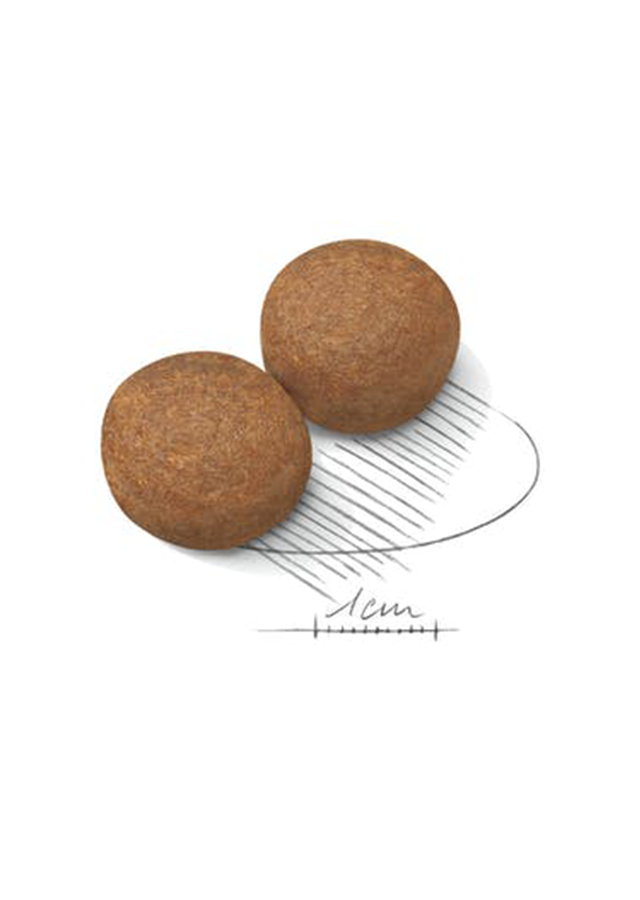 ΣΚΥΛΟΤΡΟΦΗ ROYAL CANIN MAXI ADULT 15kg 2