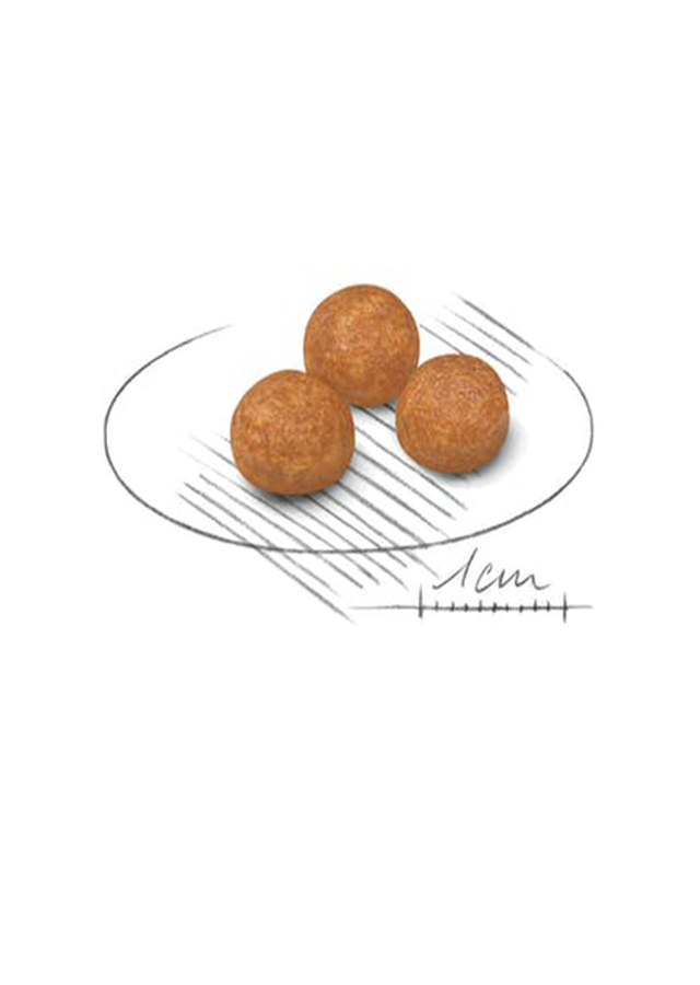 ΣΚΥΛΟΤΡΟΦΗ ROYAL CANIN X-SMALL ADULT 3kg 2