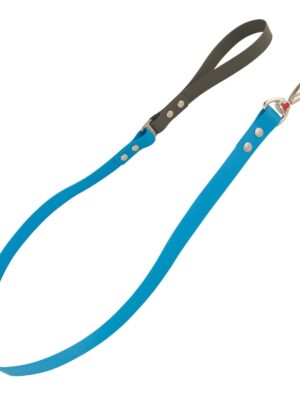 ΟΔΗΓΟΣ ΣΚΥΛΩΝ PVC REDDINGO VIVID L ΜΠΛΕ 25mmX1.2m