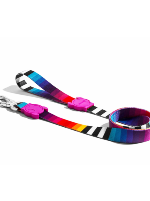 ΟΔΗΓΟΣ ΣΚΥΛΩΝ ZEEDOG LEASH PRISMA L 1,20mX2,5cm