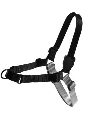 ΕΚΠΑΙΔΕΥΤΙΚΟ ΣΑΜΑΡΑΚΙ ΣΚΥΛΩΝ ZEEDOG SOFT WALK GOTHAM L 36-47cmX66,5-105cm