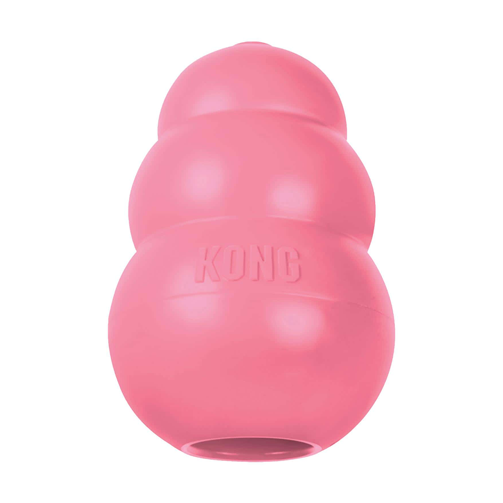 KONG PUPPY