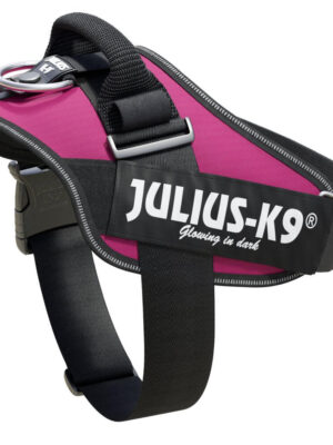 ΣΑΜΑΡΑΚΙ JULIUS-K9 1/L 66-85cm/50mm FUCHSIA