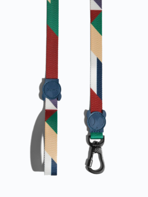 ΟΔΗΓΟΣ ΣΚΥΛΩΝ ZEEDOG LEASH PACCO L 1,20mX2,5cm