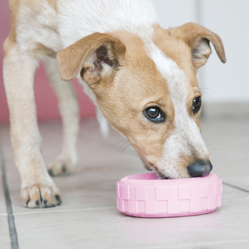KONG PUPPY TYRES S ΡΟΖ 3