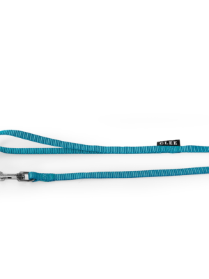 ΟΔΗΓΟΣ ΣΚΥΛΟΥ ΜΟΝΟΣ GLEE 88869 PETROL M 20mmx122cm