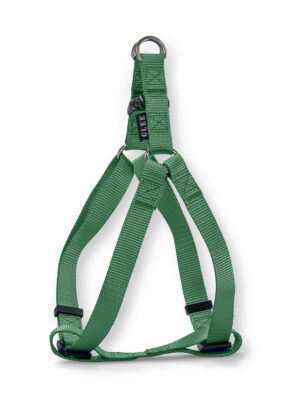 ΣΑΜΑΡΑΚΙ ΣΚΥΛΟΥ GLEE 88828 TEAL S 16mmΧ41-51cm