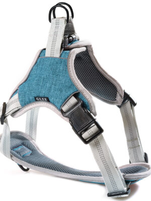 ΣΑΜΑΡΑΚΙ ΣΚΥΛΟΥ GLEE 89275 SADDLE PETROL M 48-65cm