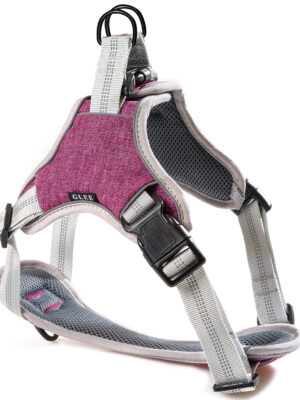 ΣΑΜΑΡΑΚΙ ΣΚΥΛΟΥ GLEE 89276 SADDLE BORDEAUX L 61-76cm