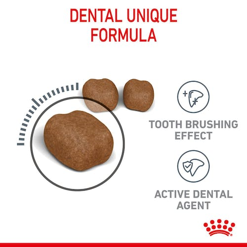 ROYAL CANIN DENTAL CARE 2
