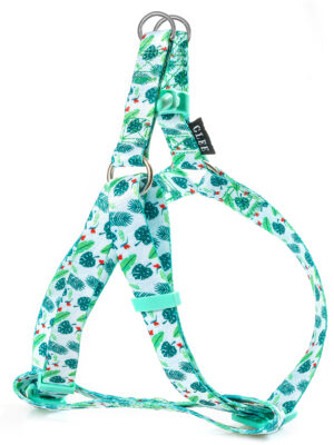 ΣΑΜΑΡΑΚΙ ΣΚΥΛΟΥ ΡΥΘΜΙΖΟΜΕΝΟ ΜΕ ΠΛΑΣΤΙΚΟ ΚΟΥΜΠΩΜΑ GLEE 89256 PALM LEAF XS 10mmx20-35cm