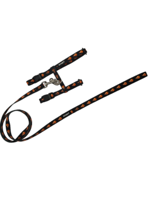 ΣΑΜΑΡΑΚΙ ΓΑΤΑΣ PET INTEREST 30305 GO GET HARNESS&LEASH CLOWNFISH 30-40cm,40-55cm,1mmx100cm M