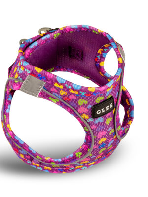 ΣΑΜΑΡΑΚΙ ΣΚΥΛΟΥ GLEE 89456 HEARTS PURPLE 2XS 24-28cm 28-32cm 2-4kg