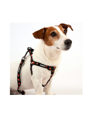 ΣΑΜΑΡΑΚΙ ΣΚΥΛΩΝ PET INTEREST 32861 GO GET HARNESS CLOWNFISH 1mmx26-40cm XS