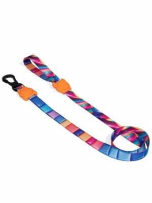 ΟΔΗΓΟΣ ΣΚΥΛΩΝ ZEEDOG LEASH BOUNCE S 1,20mX1,5cm