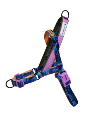 ΕΚΠΑΙΔΕΥΤΙΚΟ ΣΑΜΑΡΑΚΙ ΣΚΥΛΩΝ ZEEDOG SOFTER WALK REEBOK TREKK S 21-28cmx48-61cm
