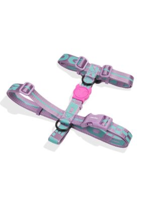 ΣΑΜΑΡΑΚΙ ΣΚΥΛΩΝ ZEEDOG H-HARNESS AURA L 40-67cmX62-107cm